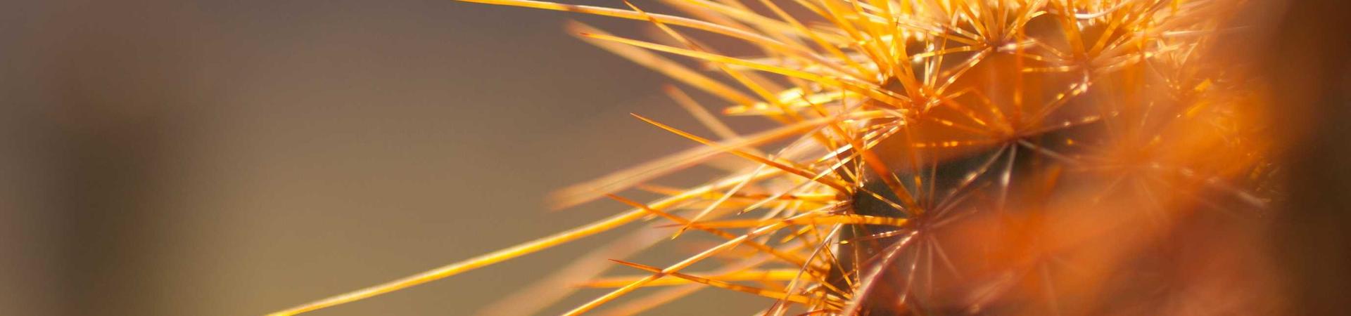 瑞安市建升机械有限公司 &middot; 攀枝花运营中心